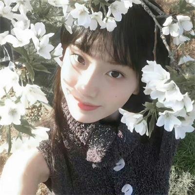 知己 海报