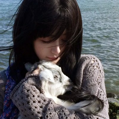 造人计划 海报